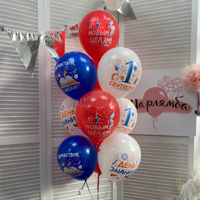 Шары латексные на 1 сентября "Здравствуй, школа!", 10 шаров