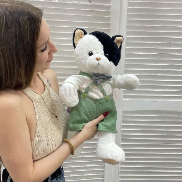Мягкая игрушка Кот в одежде