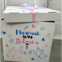 Коробка сюрприз "Гендер пати"